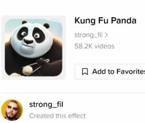 icône tiktok du filtre kung fu panda