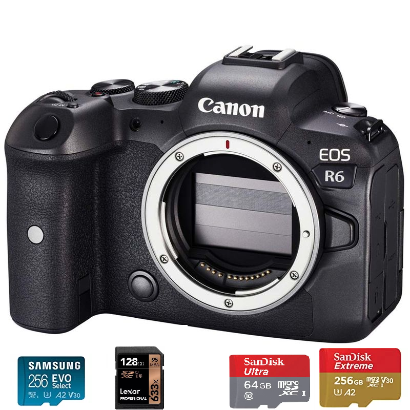 Leica Carte SD 128GB Pour Canon EOS R6 Carte Mémoire Kingston Toile Plus U1 UHS-I C10 
